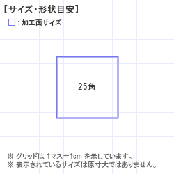 ϥ : Xstamper ѷ2525 25.0 x 25.0